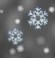 Light snow, Blowing, Snow, Mist, Overcast Light snow, Blowing, Snow, Mist, Overcast